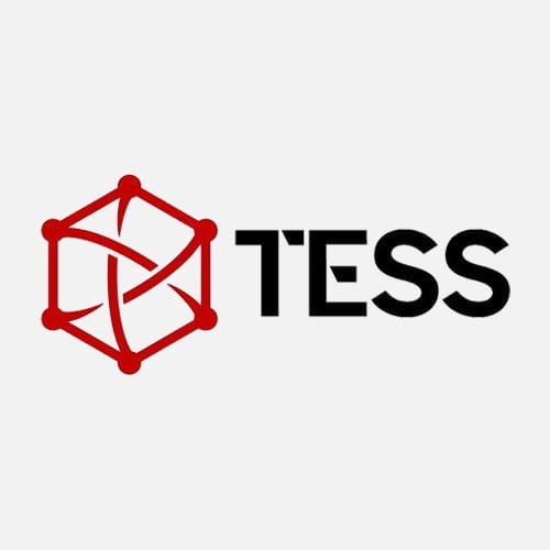 Freelance Grafik Tasarım Uzmanı 2 Tess Medya