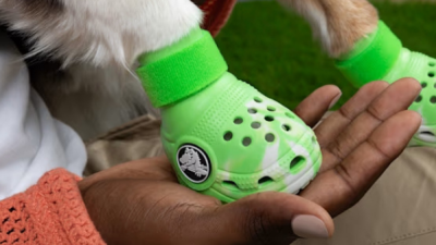 Crocs evcil hayvanlar icin terlik modasini baslatti
