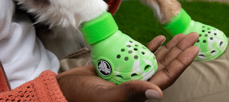 Crocs evcil hayvanlar icin terlik modasini baslatti