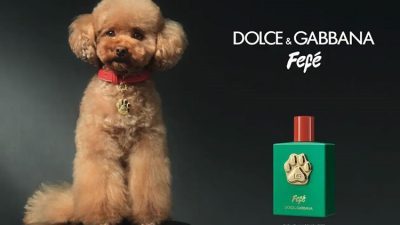 Dolce Gabbana evcil dostlara ozel parfum cikardi.