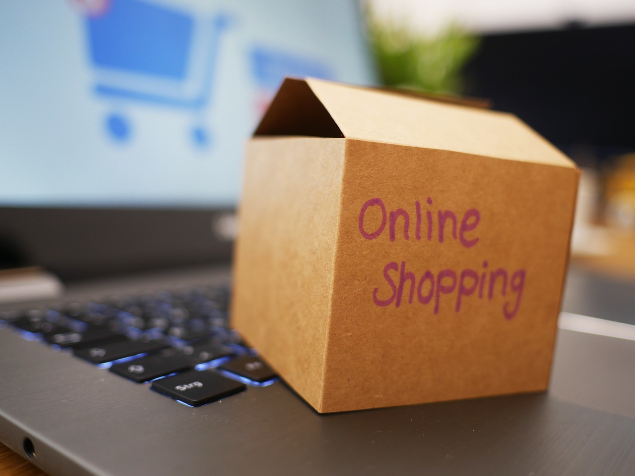 FMCG e-ticaret